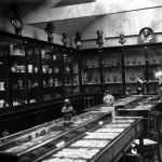 Galerie imagini